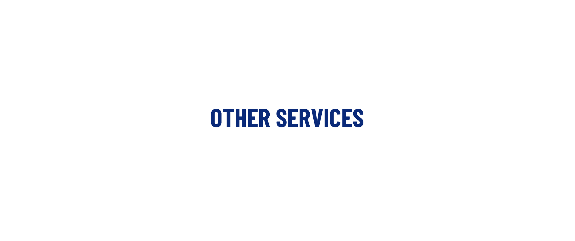 その他の事業